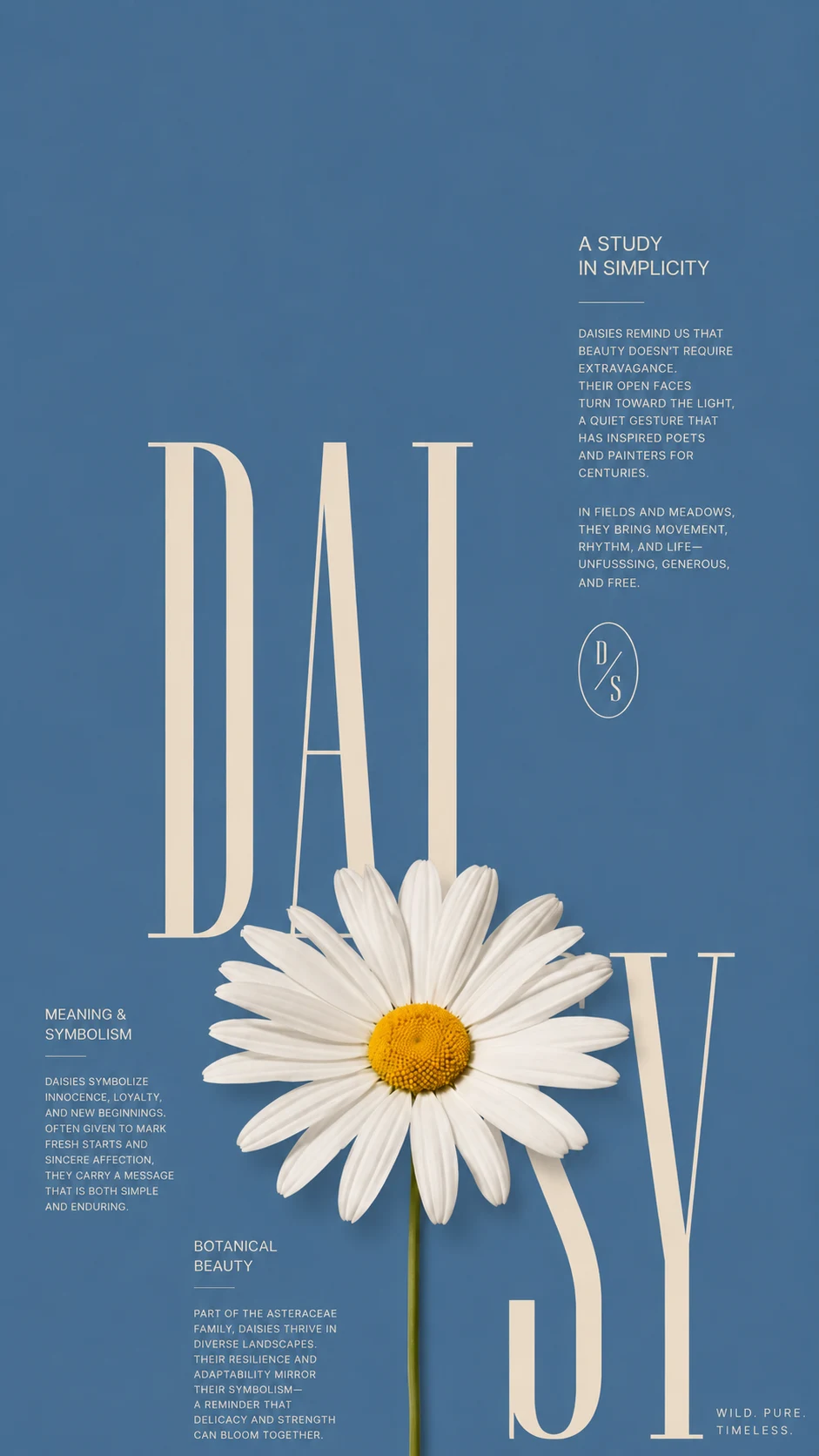 Affiche marguerite bleue