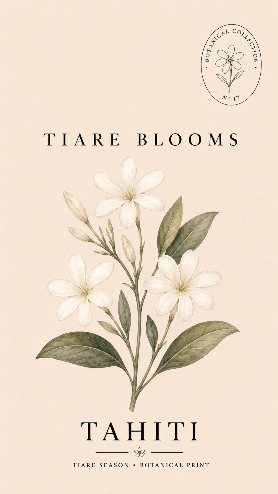 Tiaré blooms Tahiti